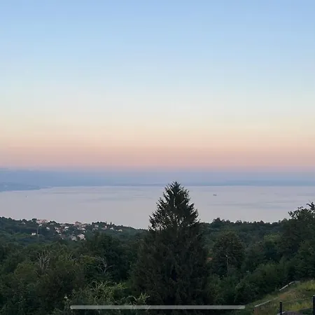 Luxury Carrera With Private Pool - Opatija Area Vilă *